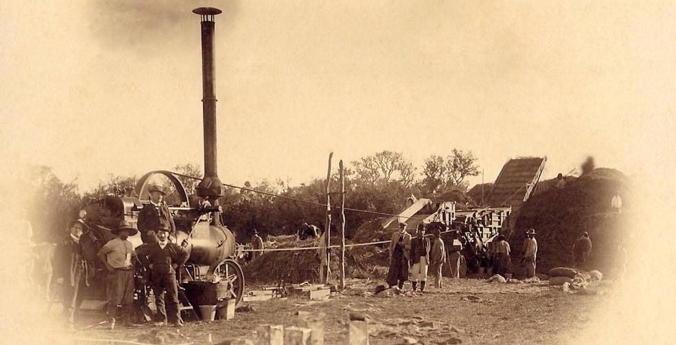 Imagem de lavoura de arroz